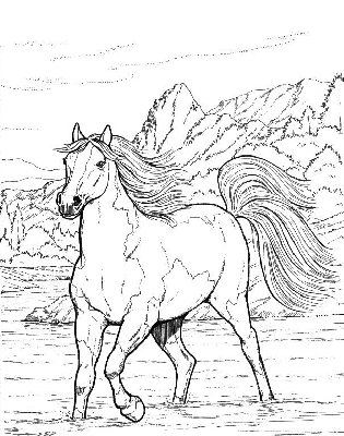 Kolorowanka koń biegnący przez jezioro